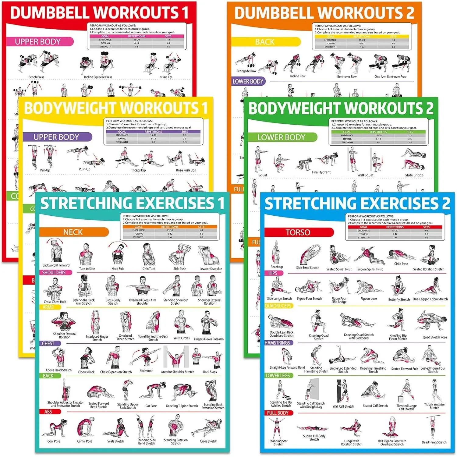 6-Pack Workout Posters for Home Gym, Illustrated Paper Full Body Workout Chart Set, Large English Fitness Wall Decor, Multi-Color 17X12.6" Inches, Vibrant