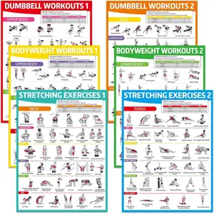 6PCS Workout Posters for Home Gym Dumbbell Bodyweight Stretching Workout Exercise Chart