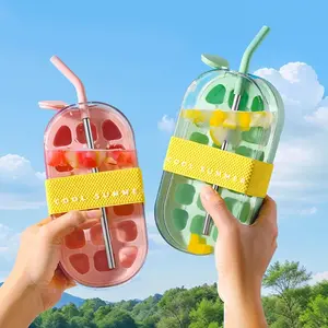 Ice Cube Bottle,2026 New Vertical Ice Cube Bottle,Touch-Free Ice Cube Tray Water Bottle,Reusable Whiskey Balls Making Supplies,Cute Ice Tray for Drinks Coffee Freezer Juice Beverage (800ML)