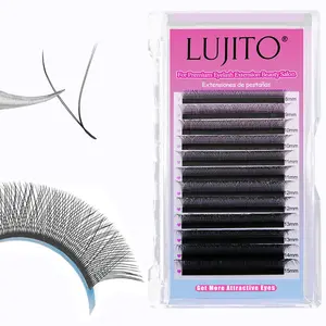 12Rows C Curl New 2D Volume Lashes 0.07MM Ultra-Thin 1D YY Lash Extension Lightweight Premade Fans Eyelash Extensions Lash Clusters,Eye Lash Clusters,Individual Eyelashes,Lashes,Fake Lashes