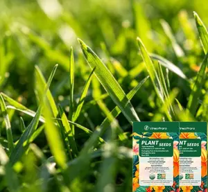 （ZL#FF）Grass Seed Mix | Beginner-Friendly Home Gardening | Ideal for Lawns, Balcony, or Container Planting