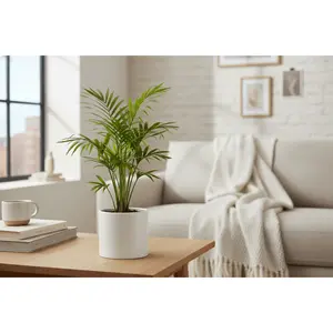 Pet Safe - Mystery Houseplant Subscription Box