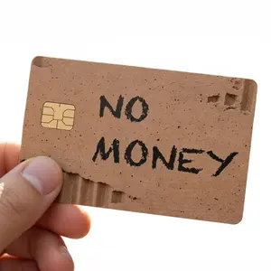 No Money Debit Card Skin Sticker 2 Pack Funny Vinyl Cover