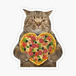Unhinged Cute Reaction Faces Cat Meme Sticker