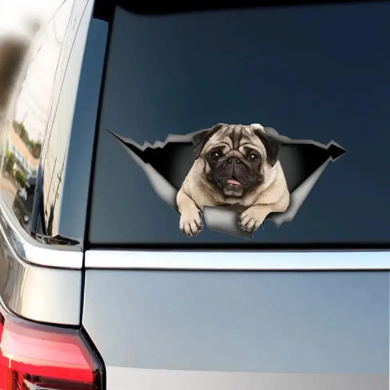 Cute Cat Pattern Car Sticker, Funny Car Decal, Car Exterior Decoration Sticker, Universal Car Accessories for Car Body Window Decor
