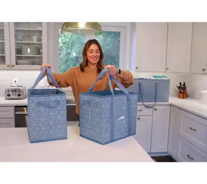 DuraSack Set of 3 Collapsible Storage Totes with Dividers