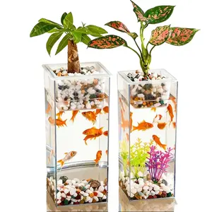 High Transparency Goldfish Viewing Tank Straight Vase Rectangular Hydroponic Plant Dried Flowers Flower Arrangement Water Cultivation Desktop Decorative Bottle