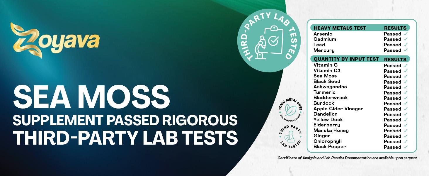 Eternal Vitality Bundle - Zoyava NAD+ & Sea Moss All-in-One Supplement Combo for Extra Skin Aging Support, Multivitamin, & Overall Wellness - Made in USA