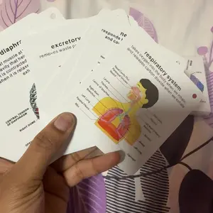 Human Anatomy Flashcard Set with Hanging Rings, Medical and Nursing Study Guide Learning Aids, Ideal Gift for Students