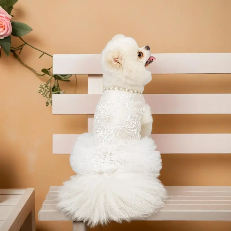 dog wedding dress - TikTok Shop dog wedding dress - TikTok Shop