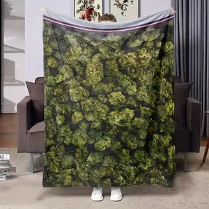 Oversized Dank Weed Design Decorative Blanket - Green Flannel, High-Definition Printed All-Season Comfort Blanket, Suitable for Living Room, Bedroom, Multiple Options, Bed Blanket, Bedroom Accessories, Modern Style, Soft Textured Leaf Plush