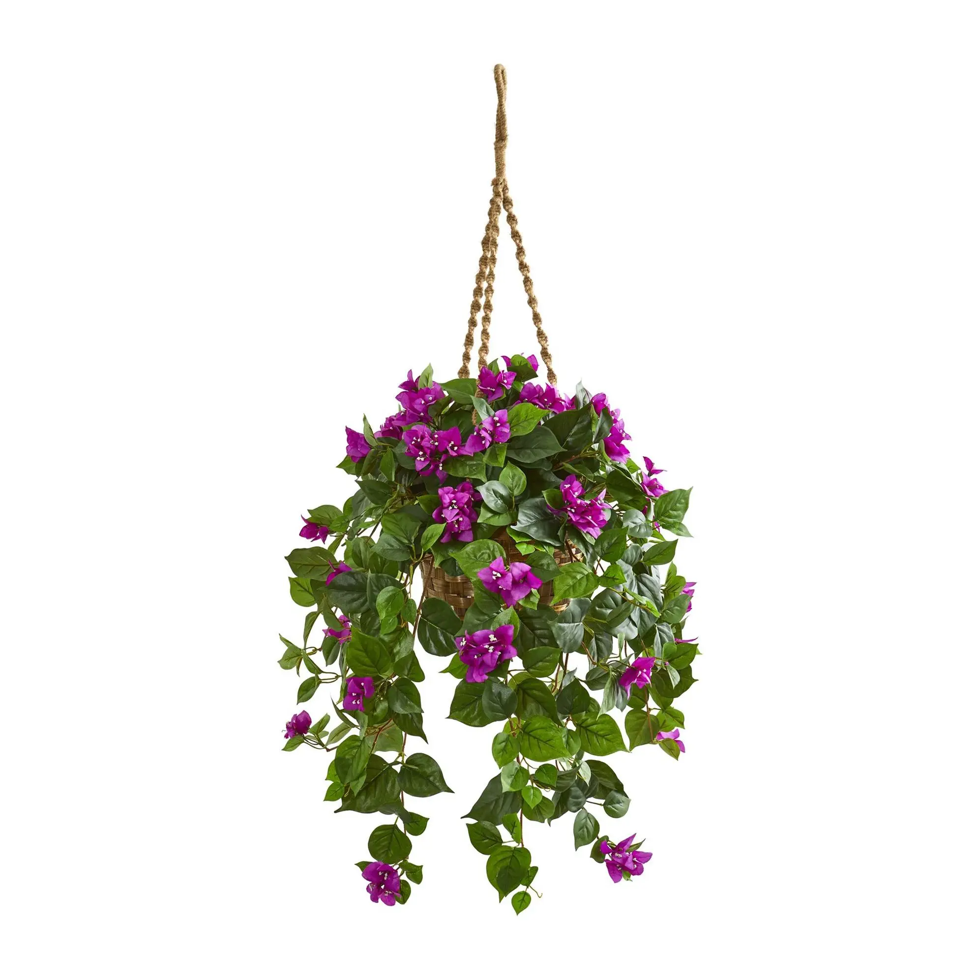 Bougainvillea Plant in Hanging Basket by NearlyNatural Bougainvillea Plant in Hanging Basket by NearlyNatural