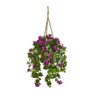 Bougainvillea Plant in Hanging Basket by NearlyNatural
