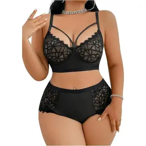 Women's Plus Size Sheer Lace Lingerie Wireless Bra and Panty 2 Piece Underwear Set