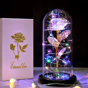 Galaxy Light Up Eternal Flower Rose Gifts for Women, LED Rose Lantern Birthday Gifts for Women,Anniversary Gifts for Christmas Rose Presents Mom Wife Sister Grandma, Colorful Galaxy Crystal Light Up Rose Flowers in A Glass Dome Her Valentines Day