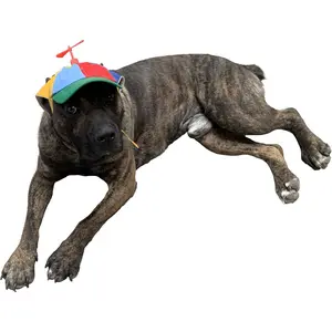 Dog Hats with Funny Propeller, Size and Rope Double Adjustment Pet Hats for Small Medium Large Dogs and Cats (Iridescent)