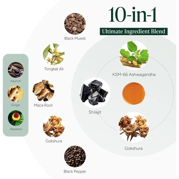 Root Labs Alpha Gummies | 4000 mg Pure Himalayan Shilajit | 60 Gummies