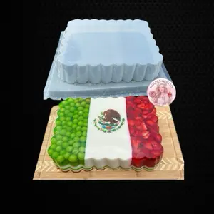 Rectangular Plastic Gelatin Mold for Customized Designs - Perfect for Personalized Cakes and Treats / molde para gelatinas Desserts
