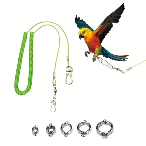 Retractable Bird Harness and Leash with Anti-Bite Ankle Chain, 5 Sizes for Parrots, Cockatiels, Lovebirds, Conures, Stainless Steel Supplies