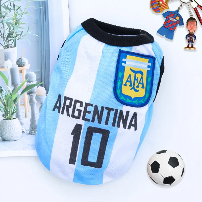 White & Blue #10 Argentina