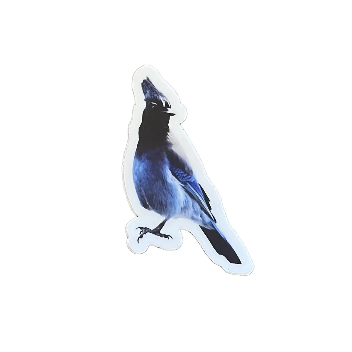 Blue Bird Decorative Sticker for Home and Office