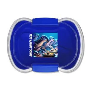 Birds Aren't Real Creative Two-Tier Bento Box, Eco-Friendly Lunchbox for School or Work, Fun Food Storage, Lunch Container