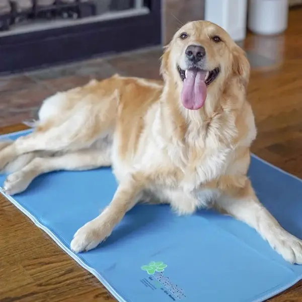 The Green Pet Shop Cool Pet Pad: Stay Cool and Comfortable All Summer