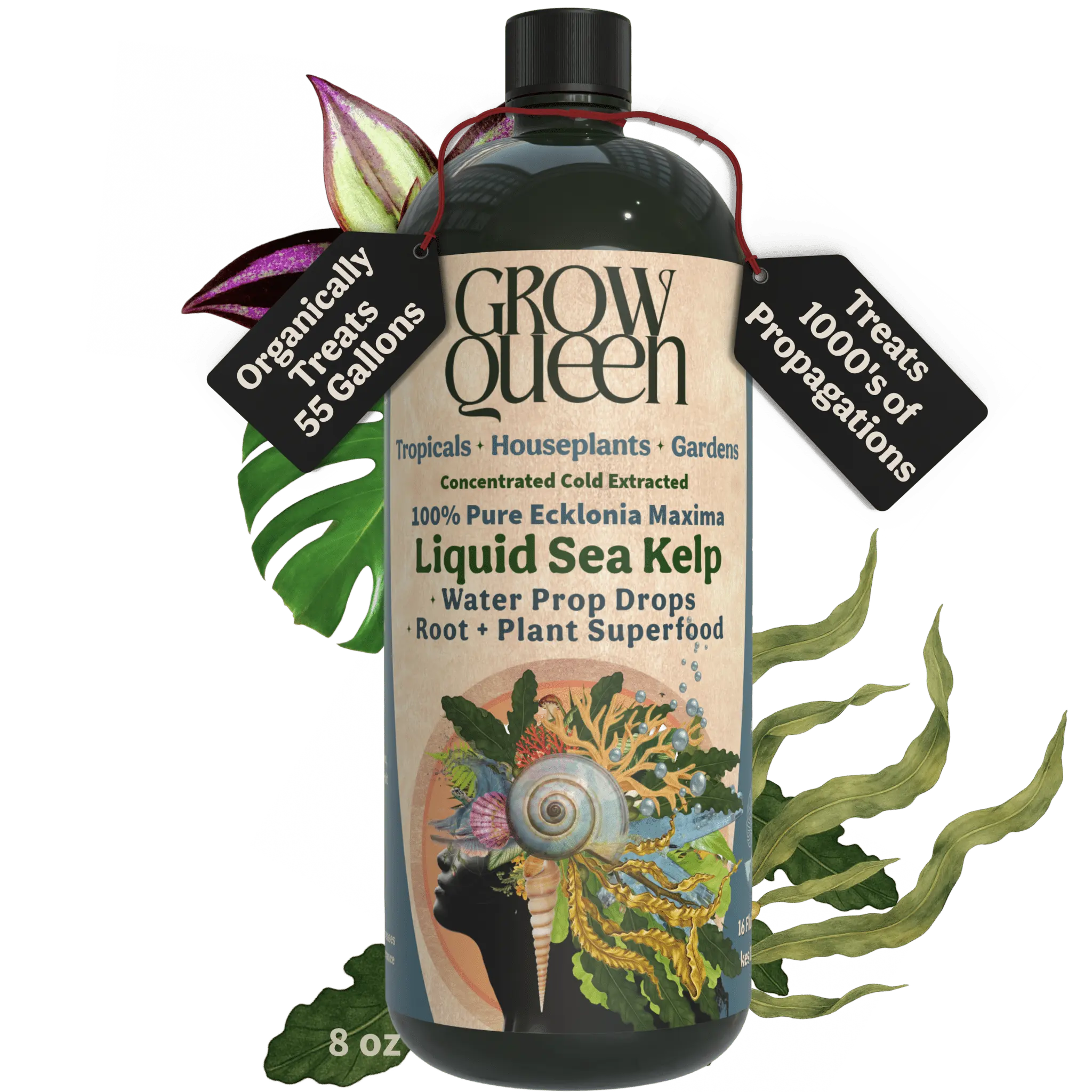 Ecklonia Maxima Kelp Extract Plant Superfood Planting Soil Additive Garden Potting Soil
