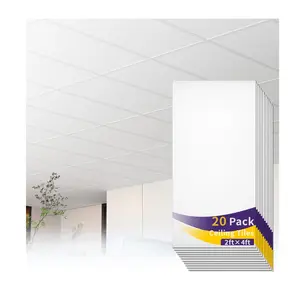 LooYee 20 PCS 2 x 4 FT Drop Ceiling Tiles 24 x 48 Inch White PVC Smooth Ceiling Panels - Waterproof Fire-Rated to Prevent Breakage - Cover 160 Sq.Ft