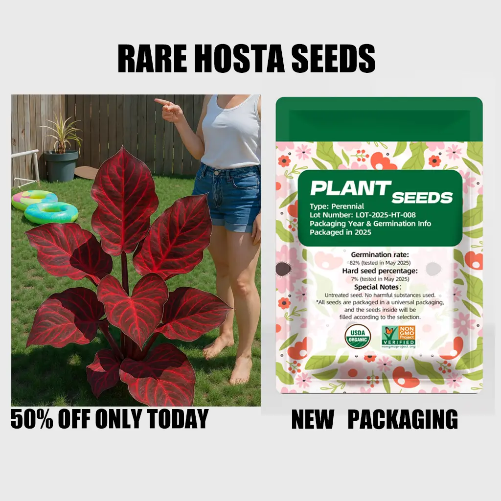 Plant seeds, rare hosta seeds, perennial shade garden ornamental foliage, suitable for outdoor landscaping, easy to grow, family activity