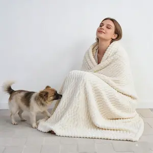 Soft Warm Plush Blanket, Multiple Colors Available, King/queen Size, Ideal for Sofa, Baby, Nap, Bedding, Durable Anti-Wrinkle, Soft Warm Throw