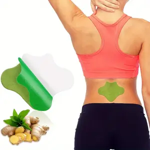 Artemisia Lumbaris 36 Tablets Reinforced Back Shoulder and Neck Natural Herbal Soothing Patches for Pain Relief