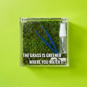 Stylish DIY Mini Moss Scene with Charming Tiny Animal Figurine, Transparent Acrylic Box, Zero Upkeep Preserved Moss Decor, Modern Desktop Accent for Home, Office, Bedroom, Shelf & Dorm, Lovely Gift for Plant Enthusiasts