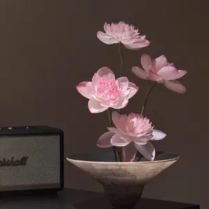 20 Pcs Lotus Seeds – Colorful Aquatic Flowers for Indoor Bonsai, Outdoor Ponds, and Garden Decoration