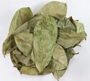 Soursop Dried Leaves Hojas de Guanabana for Tea Organic Natural Antioxidant Herbal Beverage Non-GMO No Herbicides No Pesticides