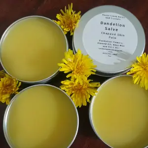Dandelion Salve Body Care Remedy Comfort Oil