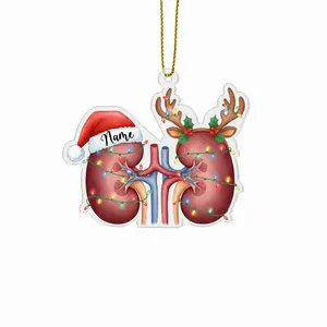 Personalized Kidneys Christmas 2025 Acrylic Ornament, Custom Name Nephrologist 2D Flat Renal Anatomy Medical Keepsake Gift Hanging Tree Decoration
