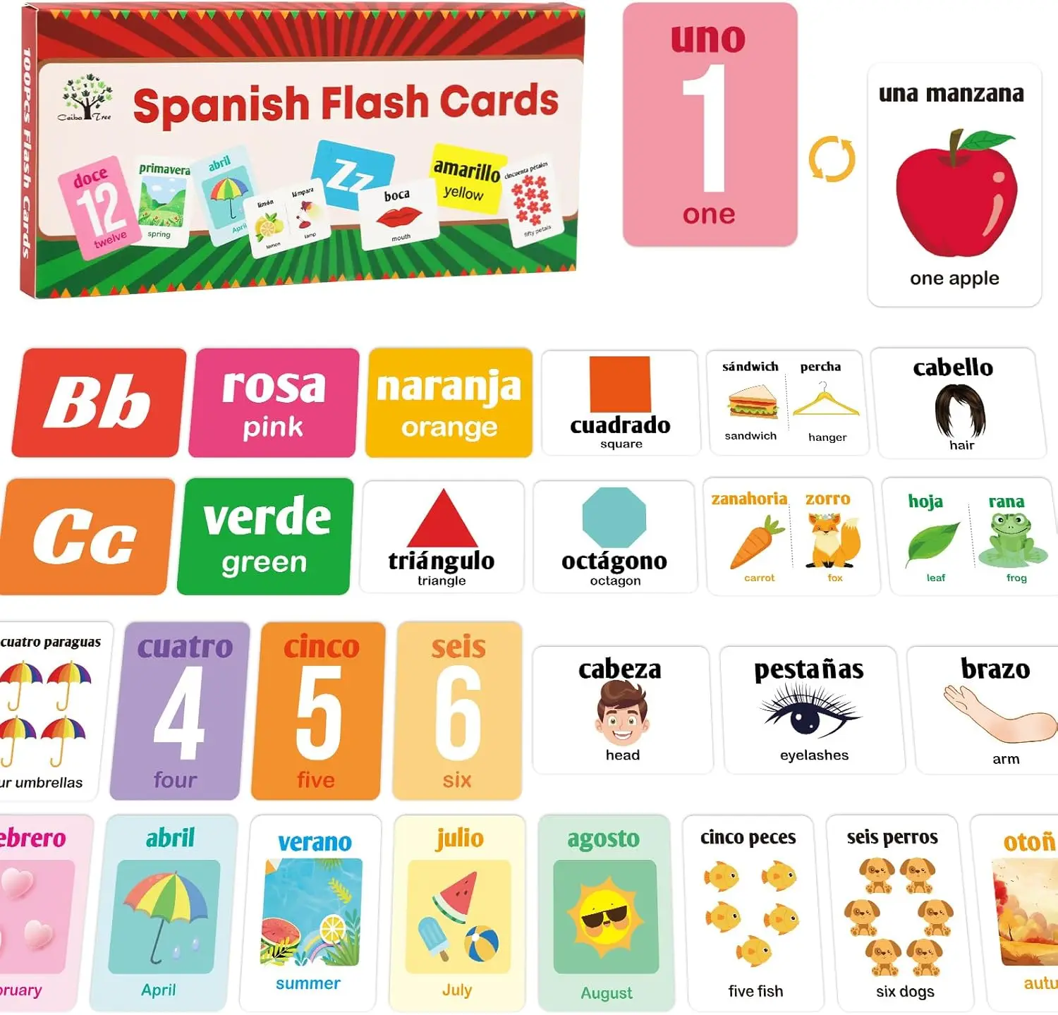 Mother's Day Spanish Flash Cards 100 English to Spanish Bilingual Flashcards Español Vocabulary Alphabet Number Colors Educational Learning Toys for Kids Adult Beginners Toddlers Grade School Classroom, Kids Stuff, Round Edges