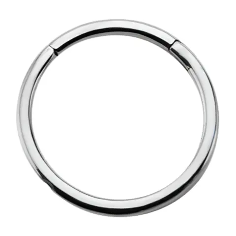 Hinged Stainless Steel Segment Hoop Ring, Hoop Ring Piercing Jewelry for Body Jewelry Enthusiasts