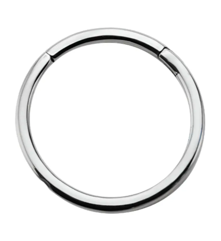 Hinged Stainless Steel Segment Hoop Ring Hinged Stainless Steel Segment Hoop Ring