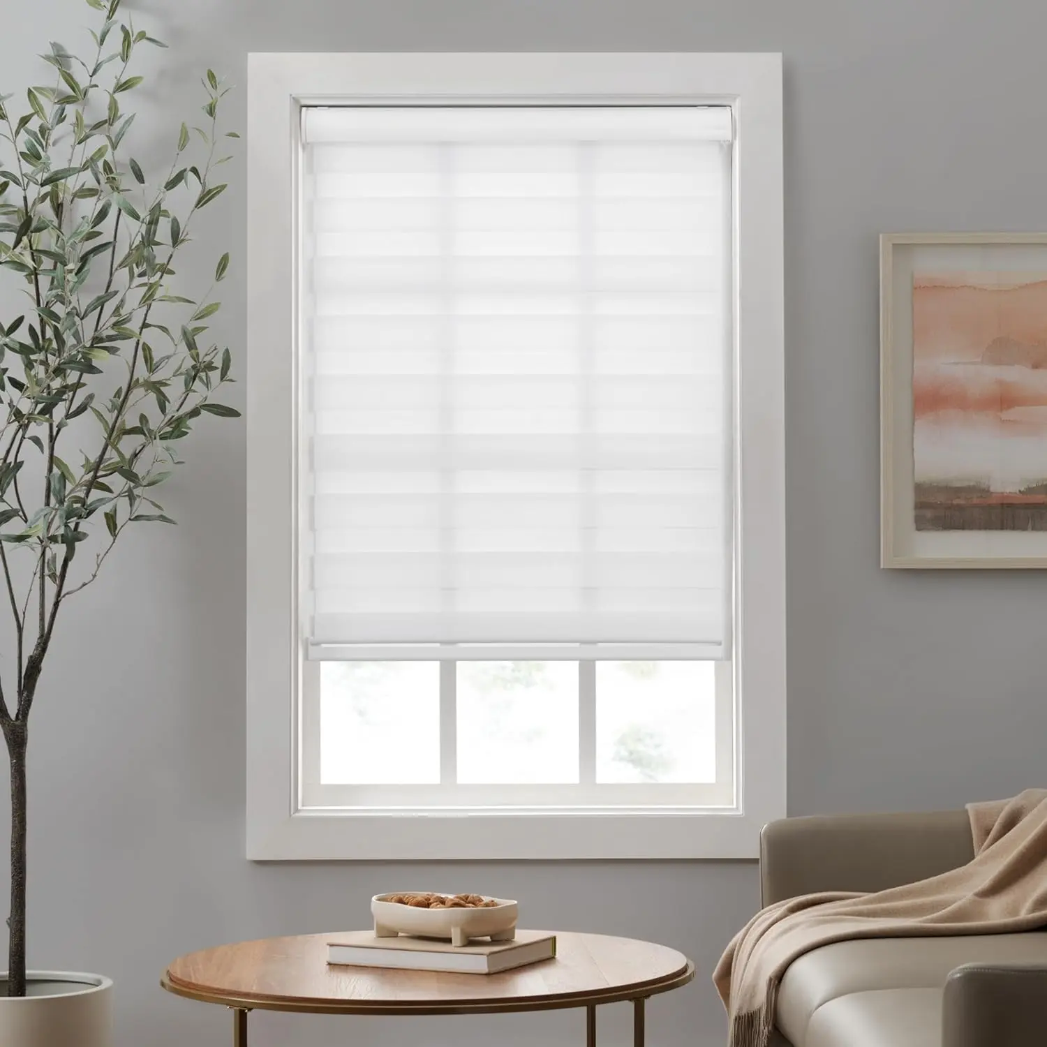 Zebra Cordless Roller Shades, Dual Layer Fabric Window Shades, Light Filtering Shades for Privacy, Easy Lift Blinds with Cassette Valance, 23 in Wide x 72 in Long, in White