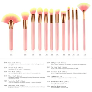 Pink Elegance 12-Piece Makeup Brush Kit