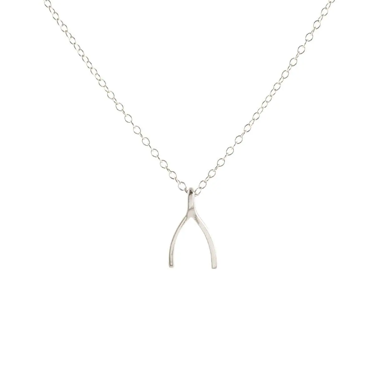 Wishbone Charm Necklace Wishbone Charm Necklace