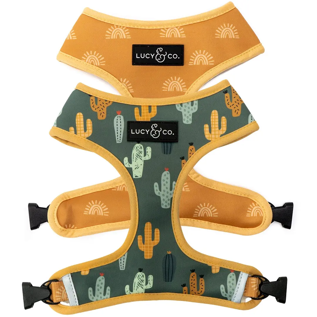 Looking Sharp Reversible Harness