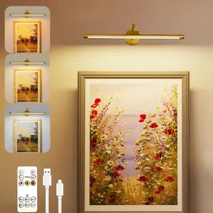 1Pc LED Bathroom Mirror Light, Rechargeable Battery Art Display Light with Remote Control, Dimmable/Timer Off Light, Led wall light, Dimmable Wall Lamp, 3 Lighting Modes Full Metal Display Light for Bathroom, Living Room Vanity/Staircase Mural Lights