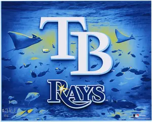Tampa Bay Rays 16" x 20" Photo Print - Art and Signed by Brian Konnick - Limited Edition of 25 - Fanatics Authentic Certified