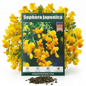 Crystal Yellow Viola Pansy Seeds for Planting Sophora japonica seeds - 200 Pcs seeds, Cold-Hardy & Pollinator Friendly Flowers with Fragrant Blooms for Garden Beds, Borders & Container Displays