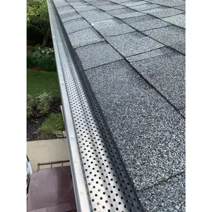 Gutter Guard “Shur Flo” the RECOMMENDED Type Gutter Guard “Shur Flo” the RECOMMENDED Type