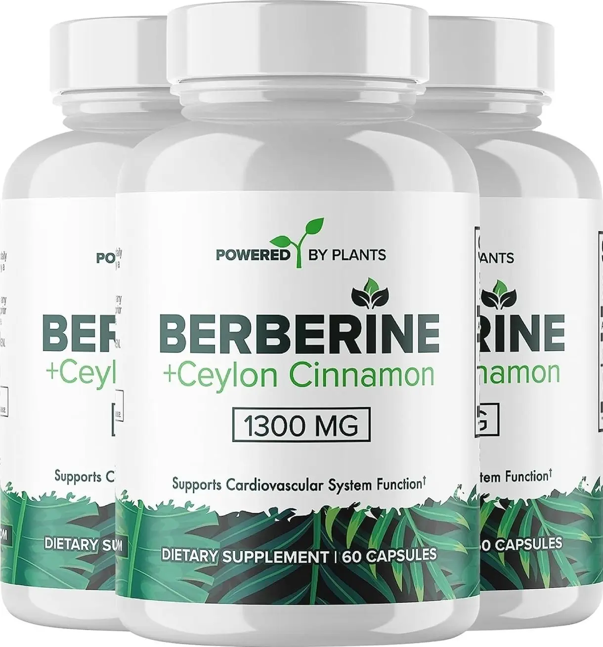 Pure Berberine Supplement - 1300mg Berberine with Ceylon Cinnamon for Metabolism & Immune System Support - 1 Pack of 180 Servings