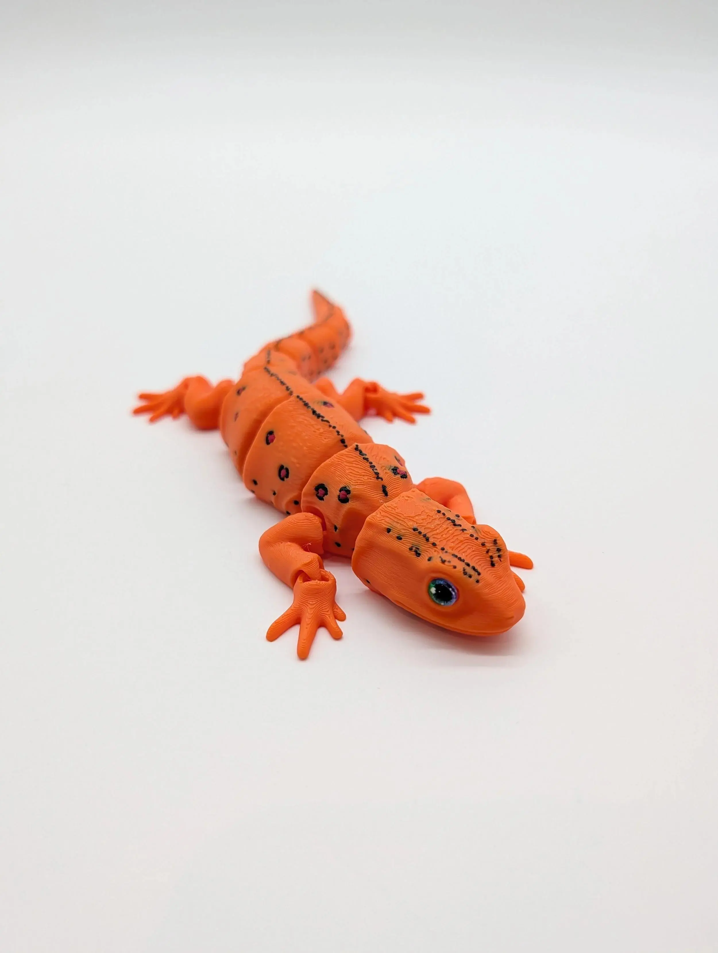 Red Spotted Newt